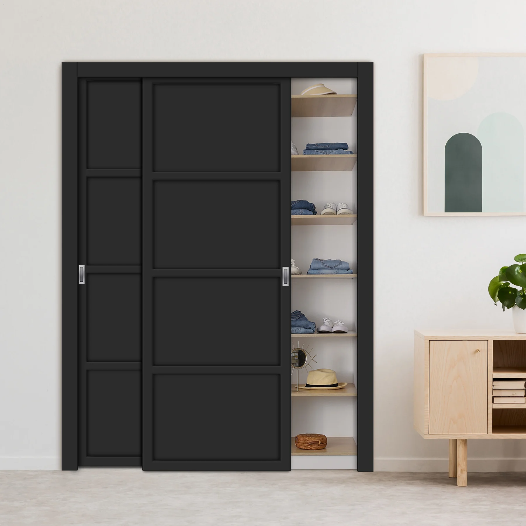 Matte Black Sliding Storage Door design direction